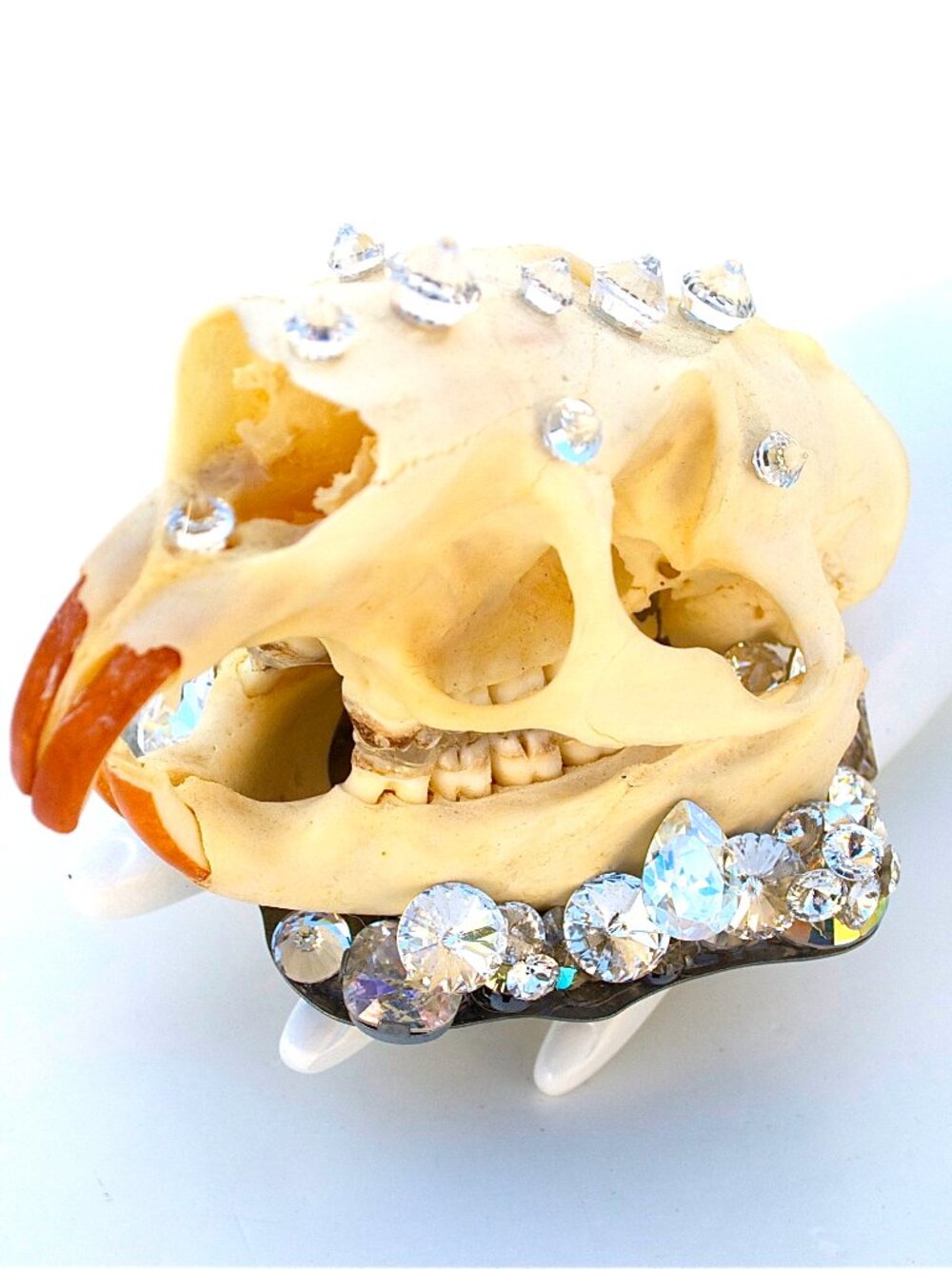 GASOLINE GLAMOUR GLASGOW GRIN DIVINE RING ☠️💎♠️